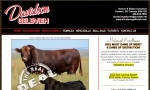 Davidson Gelbvieh is owned by Vernon and Eileen Davidson, just south of Ponteix in Saskatchewan, Canada