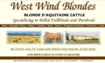West Wind Blondes is located in Southern Alberta near the town of Stavely. They believe in total DNA parentage verification for both the Blonde dAquitaine herd and animals offered for sale. They maintain a recorded health profile on each animal from birth.